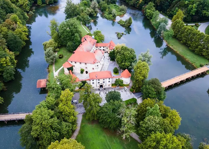 Vineyard Hansel And Gretel - Happy